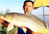 《游釣中國》第二季30集 星海湖庫釣賽 大毛連竿不斷狂拉大鯉