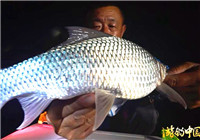 《游釣中國》第二季47集 大毛探釣五點梅水庫 夜間作戰土鯪魚