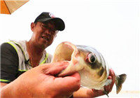 《游釣中國》第二季23集 五常龍鳳湖垂釣記