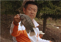 李大毛《游釣中國》第60集 游釣馬堵山手竿岸釣羅非魚