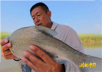 《游釣中國》第二季24集 查干湖垂釣行