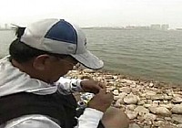 《游釣中國》第68集 山東膠州2釣獲45斤大青魚