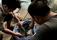 《游釣中國》第06集 千島湖最后一搏