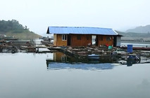 李大毛《游釣中國》第30集 湖南柘溪水庫筏釣翹嘴魚