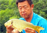 《游釣中國》第2季14集 大毛水庫野釣尋鯉魚