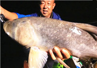 《游釣中國》第2季15集 大毛夜釣清江釣獲鰱鳙