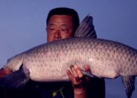 《游釣中國》第四季 第17集 船釣第二窩點 擒獲大青大鯉