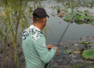 《游釣中國》第四季 第42集 藕塘輕裝戰鯽魚 傳統釣法出奇效