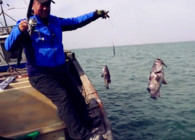 《游釣中國》第四季 第43集 金沙灘海釣行 碧波浩渺尋覓時令海魚