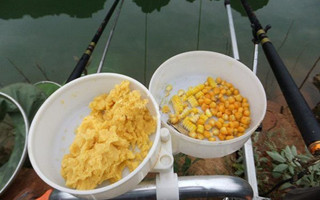 簡單自制玉米窩料及釣餌的技巧