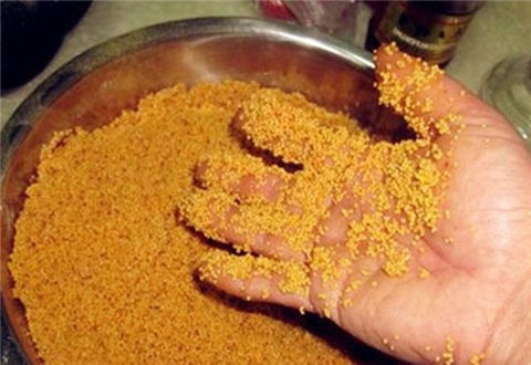 冬季釣魚的幾款酒米窩料泡制方法