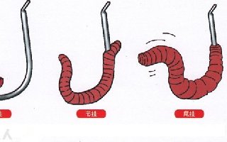 蚯蚓掛鉤的五種方法 [圖解]