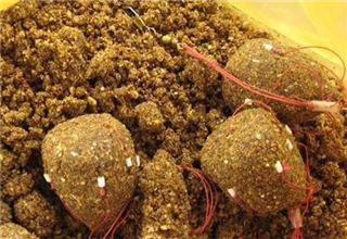 釣青草鯉魚大物必備的自制爆炸餌