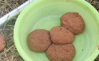 用丁香和桂皮自制垂釣絕配餌料