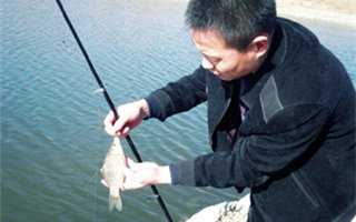 自制釣鯽鯉魚的兩款中藥魚餌配方