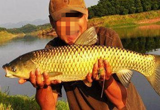自制7款釣草魚水果餌料配方