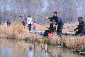 奉上六款冬季實用的釣魚誘餌