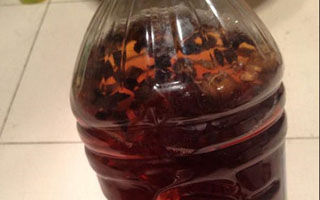 簡單實用的釣魚藥酒配方