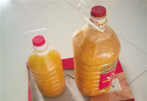 自制釣魚窩料，效果必須好