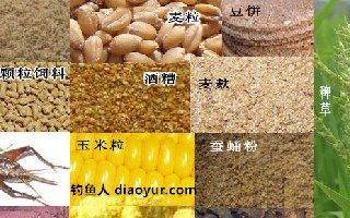 春夏秋冬四季釣草魚的餌料配方