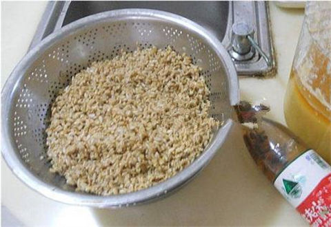 專攻鯽、鯉魚的中藥餌料配方