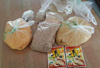 用玉米牛B鯽自制釣魚窩料的方法