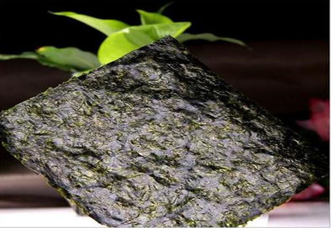 紫菜要在釣魚界逆襲了，用紫菜釣魚你試過嗎？
