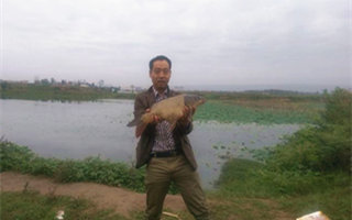 水庫海竿釣草鯉魚的特效餌自制方法