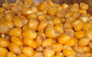 水庫釣大魚用煮麥子老玉米的自制方法