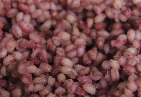 野釣通用的一款民間餌料配方，釣魚人必學