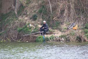 自制水庫野釣鯽鯉草魚通殺魚餌秘方