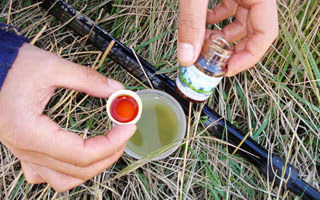 深度解析釣魚藥酒的搭配與使用
