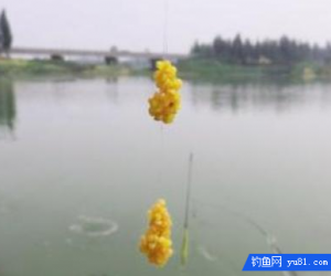 釣魚中餌料的用途，白粉和粘粉不一樣