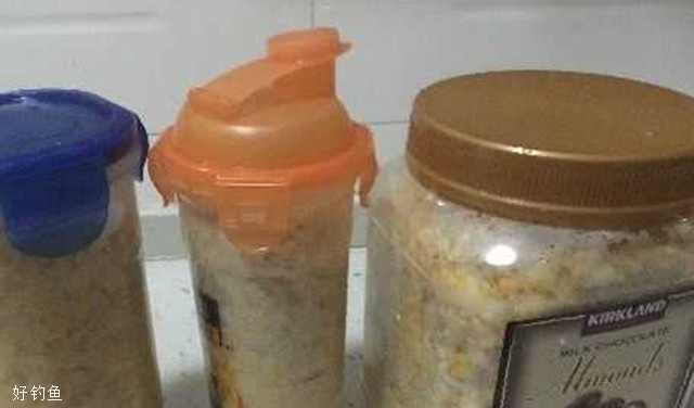 自制釣大鯉魚大草魚的發酵醪糟餌料 [圖解]