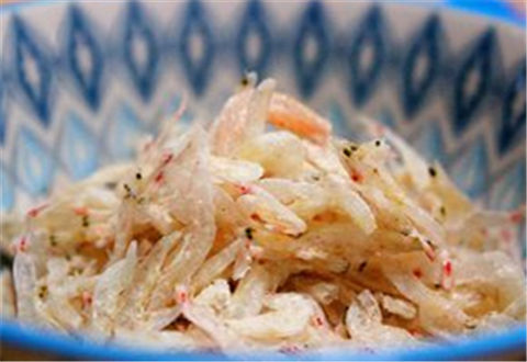 餌料魚不吃？在魚餌中加入蝦粉效果會更好