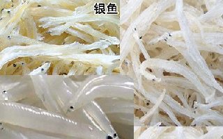 自制小藥配方魚粉、蝦粉、蚯蚓粉的方法