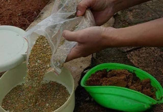 釣魚人分享一款經典的窩料配方