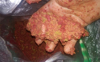 一款簡單易做的自制釣大魚餌料配方