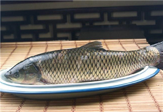 秋季釣大草魚，就靠這三種自制釣魚餌料