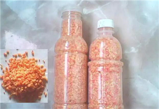 麝香米的五種簡單打窩補窩使用方法