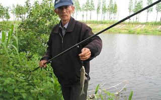 淺談王金生米飯粒釣魚技術
