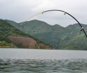 海釣時，不要小看使用泄力器，尤其是遇到大魚時！