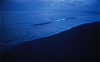 夏季夜釣海鱸的打漂釣法介紹