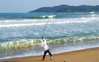 夏秋季灘釣梭魚的技巧要點