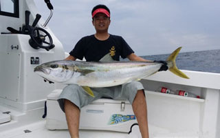黃條鰤的習性特點及海釣技法詳解