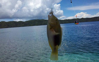 海釣魚餌巧釣對象魚的使用搭配
