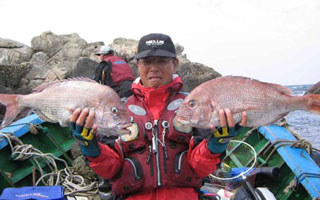 海釣真鯛魚的誘餌籠釣法的運用技巧