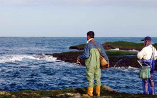淺淡海釣新式打誘餌的小竅門