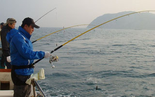 海船垂釣對象魚的守釣釣組配置與運用
