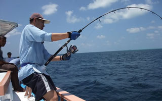 海釣兇猾魚類的漂墜合一法介紹